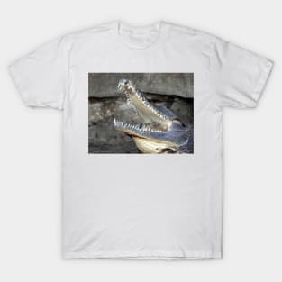 Freshwater Crocodile T-Shirt